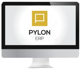 pylon removebg preview.png